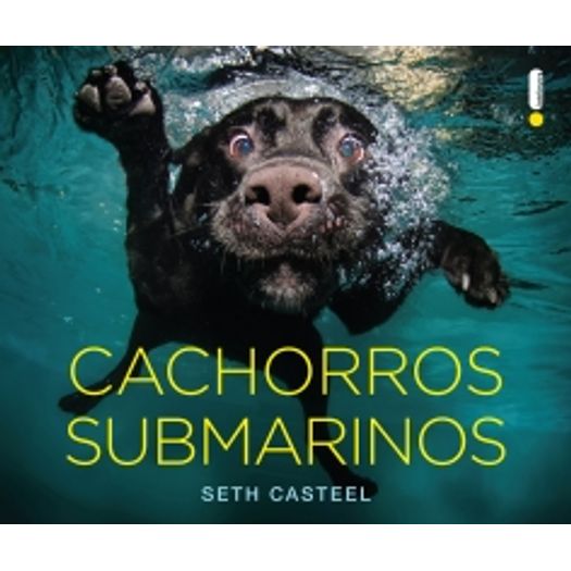 Cachorros Submarinos - Intrinseca