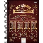 Caderno Universitário Harry Potter Hogwarts 1 Matéria Jandaia