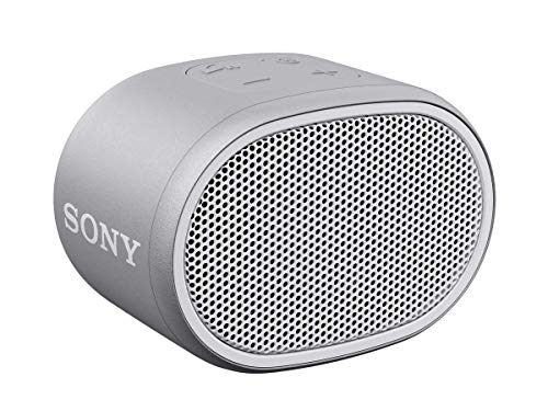 Caixa de Som Sony Extra Bass SRS-XB01 - Cinza