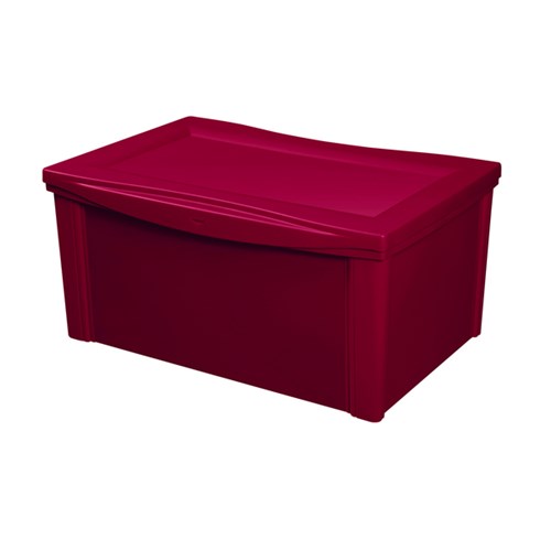 Tudo sobre 'Caixa Organizadora 30,7x63,5x42,5cm 65L Vermelha Radical Color'