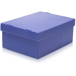 Caixa Organizadora Desmontável M Baixa Roxa - Prontobox