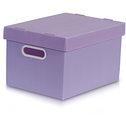 Caixa Organizadora Desmontável P Lilás - Prontobox