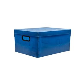 Caixa Organizadora Grande Dello Azul