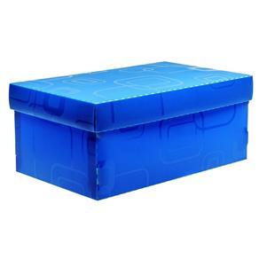 Caixa Organizadora Mini/Sapato Azul Dello