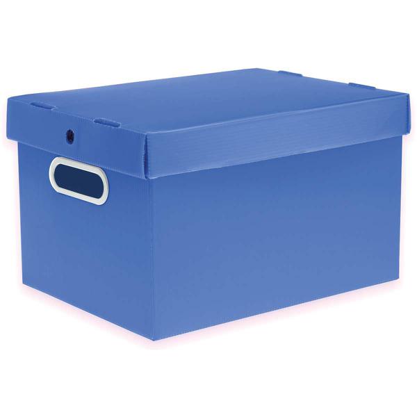 Caixa Organizadora Prontobox AZUL 310X230X190 PQ - Comprasjau