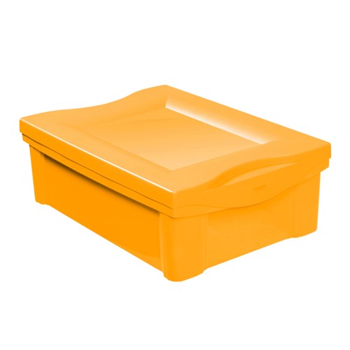 Tudo sobre 'CaixaOrganizadora Plástico Amarelo 14,4x30,5x42,5cm 13,5L Ordene'