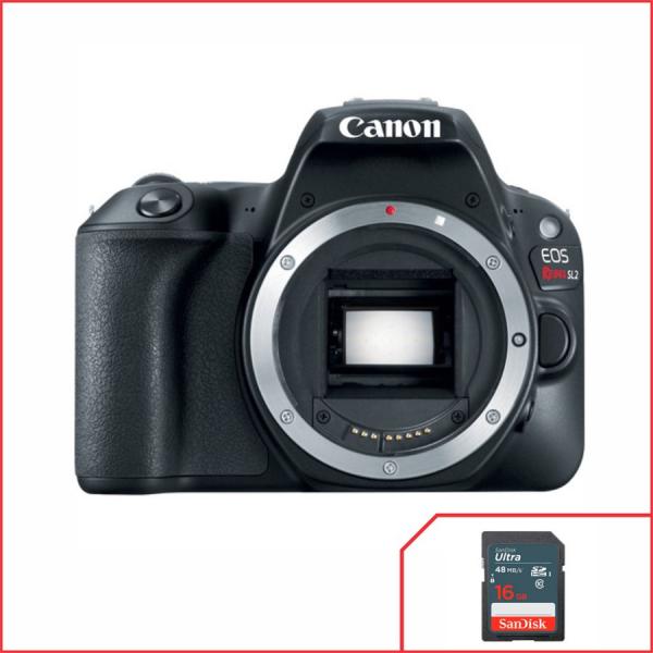 Câmera Canon EOS Rebel SL2 Wifi 24.2MP