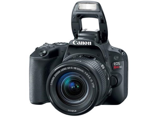 Tudo sobre 'Câmera Digital Canon DSLR EOS REBEL SL2 24,2MP - Semiprofissional 3” Touch Zoom Óptico 3x'