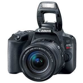 Câmera Digital Canon EOS Rebel SL2 DSLR 24.2 MP Full HD Wi-Fi Bluetooth