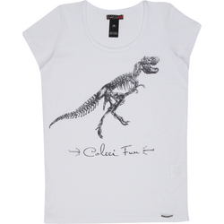 Camiseta Colcci Dino