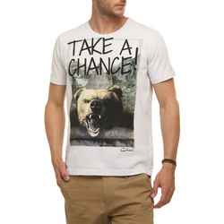 Tudo sobre 'Camiseta Colcci Take a Chance!'