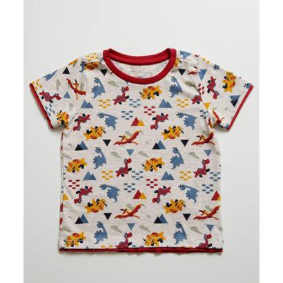 Camiseta Infantil Estampa Dinossauros MR Masculina