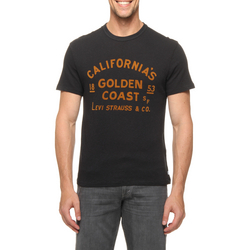 Tudo sobre 'Camiseta Levi's Estampa California'