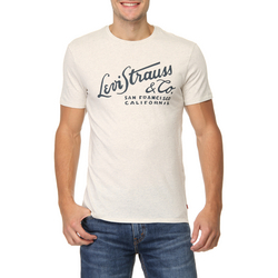 Tudo sobre 'Camiseta Levi's Graphic Set In Wordmark'