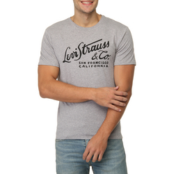 Camiseta Levi's Graphic Set In Wordmark