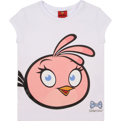 Tudo sobre 'Camiseta Malwee Angry Birds'