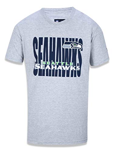 Camiseta Seattle Seahawks Nfl Marinho/cinza New Era