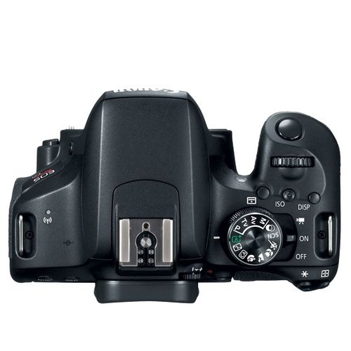 Canon T7i Kit Premium 18-55 + 75-300 + Bolsa + Cartão 32GB + Mini Tripé + Kit Limpeza