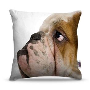Capa de Almofada - Animais - Bulldog - Referência: ANI005