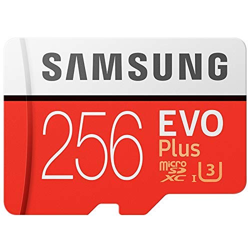 Cartão Samsung Micro Sdxc Evo Plus 256gb 100mb/s Sem Adpt