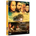Causa & Efeito (dvd)