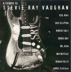 CD a Tribute To Stevie Ray Vaughan - 953093