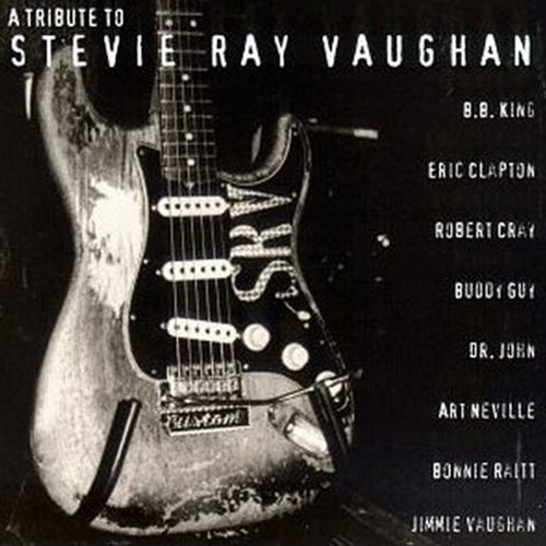 CD a Tribute To Stevie Ray Vaughan