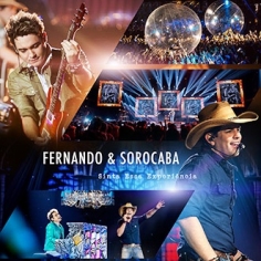 CD Fernando Sorocaba - Sinta Essa Experiência - 2013 - 953076