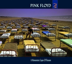 CD Pink Floyd - a Momentary Lapse Of Reason - 953093