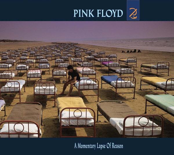 Cd Pink Floyd a Momentary Lapse Of Reason - Sony