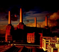 CD Pink Floyd - Animals - 953093