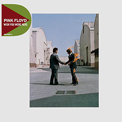Tudo sobre 'CD Pink Floyd - Wish You Were Here (Coleção Discovery)'