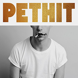 Tudo sobre 'CD Thiago Pethit - Estrela Decadente'