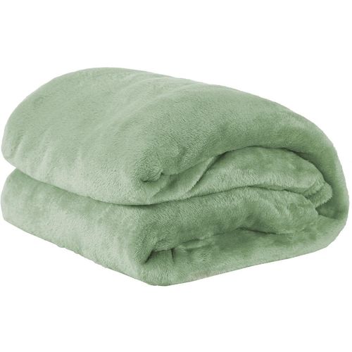 Cobertor Casal Queen Manta de Microfilha 01 Peça (toque Aveludado) - Erva Doce