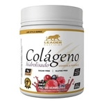 Colágeno Hidrolisado 250g Leader Nutrition - Todos Sabores
