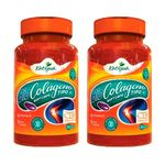 Colágeno Tipo II com Vitamina C - 2 un de 30 Cápsulas - Katigua