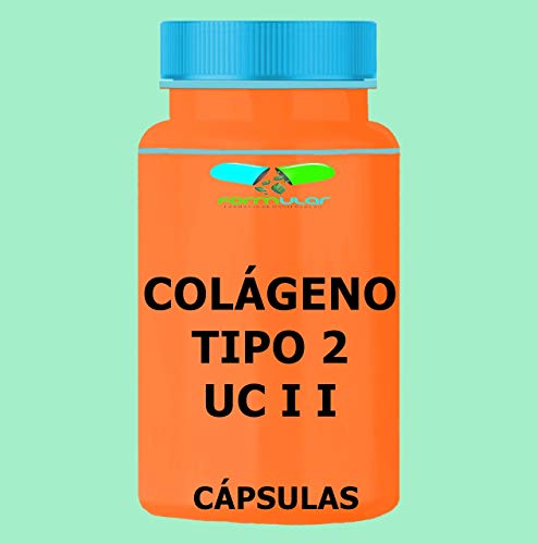 Colageno Tipo 2 - Uc I I 40mg 120 Cápsulas