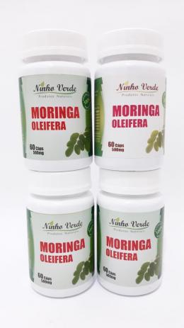 Combo 4 Moringa Oleifera 240 Capsulas 500mg Ninho Verde