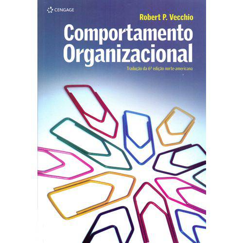 Comportamento Organizacional - 01ed/17