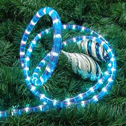 Corda Luminosa Taschibra Led 13MM 2 Fios 6m Pote Azul