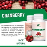 Cranberry 100 Cápsulas 500mg - Kit 6 Potes