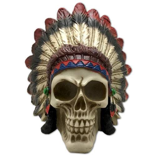 Cranio Caveira Cocar Indigena