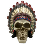 Cranio Caveira Cocar Indigena