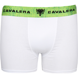 Cueca Boxer Brief Cavalera Cotton