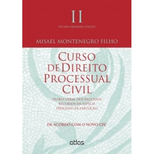 Curso de Direito Processual Civil - Vol Ii