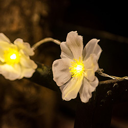 Decoração Iluminada em LED Flores Brancas - Orb Christmas