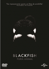 DVD Blackfish - Fúria Animal - 953148