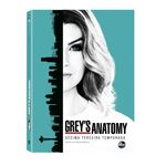 DVD Greys Anatomy - 13ª Temporada - 6 Discos