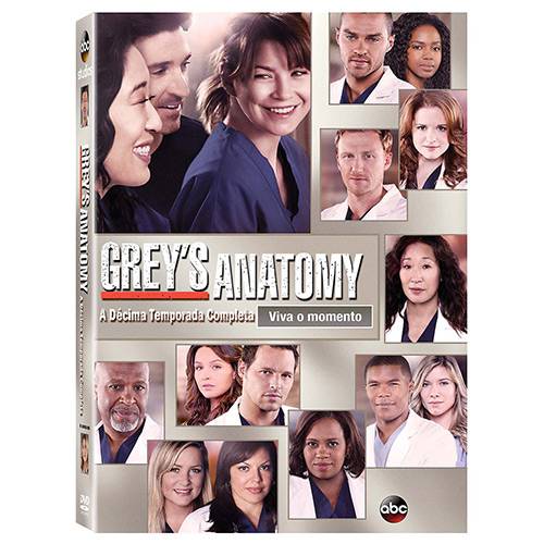 DVD - Grey's Anatomy: a Décima Temporada Completa - Viva o Momento