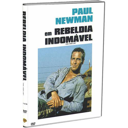 DVD - Rebeldia Indomável